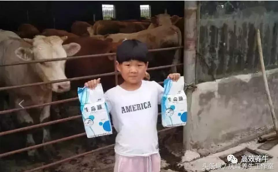 养牛户丨如何检查母牛配种后是否妊娠？