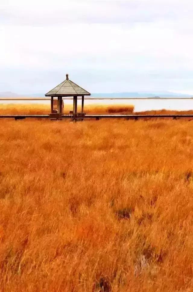 自驾去青海走哪条路线好,青海自驾最佳线路图