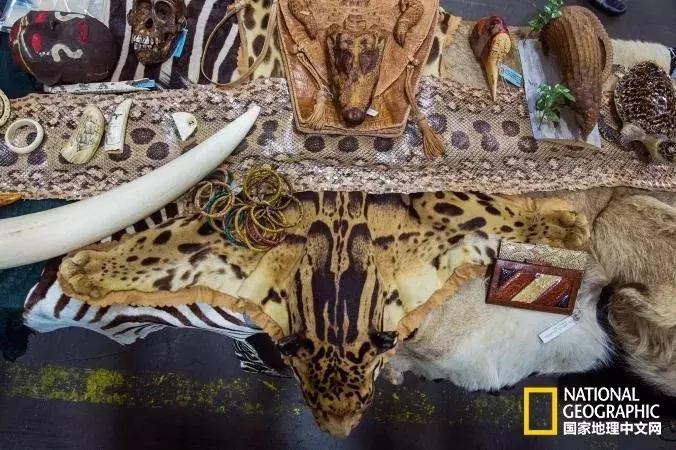 梦醒时分中国好歌曲,梦醒时分云南完整版