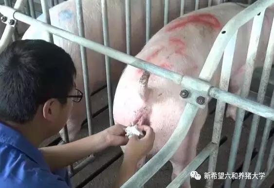 子宫炎症真不少，这些方面你是否做到？