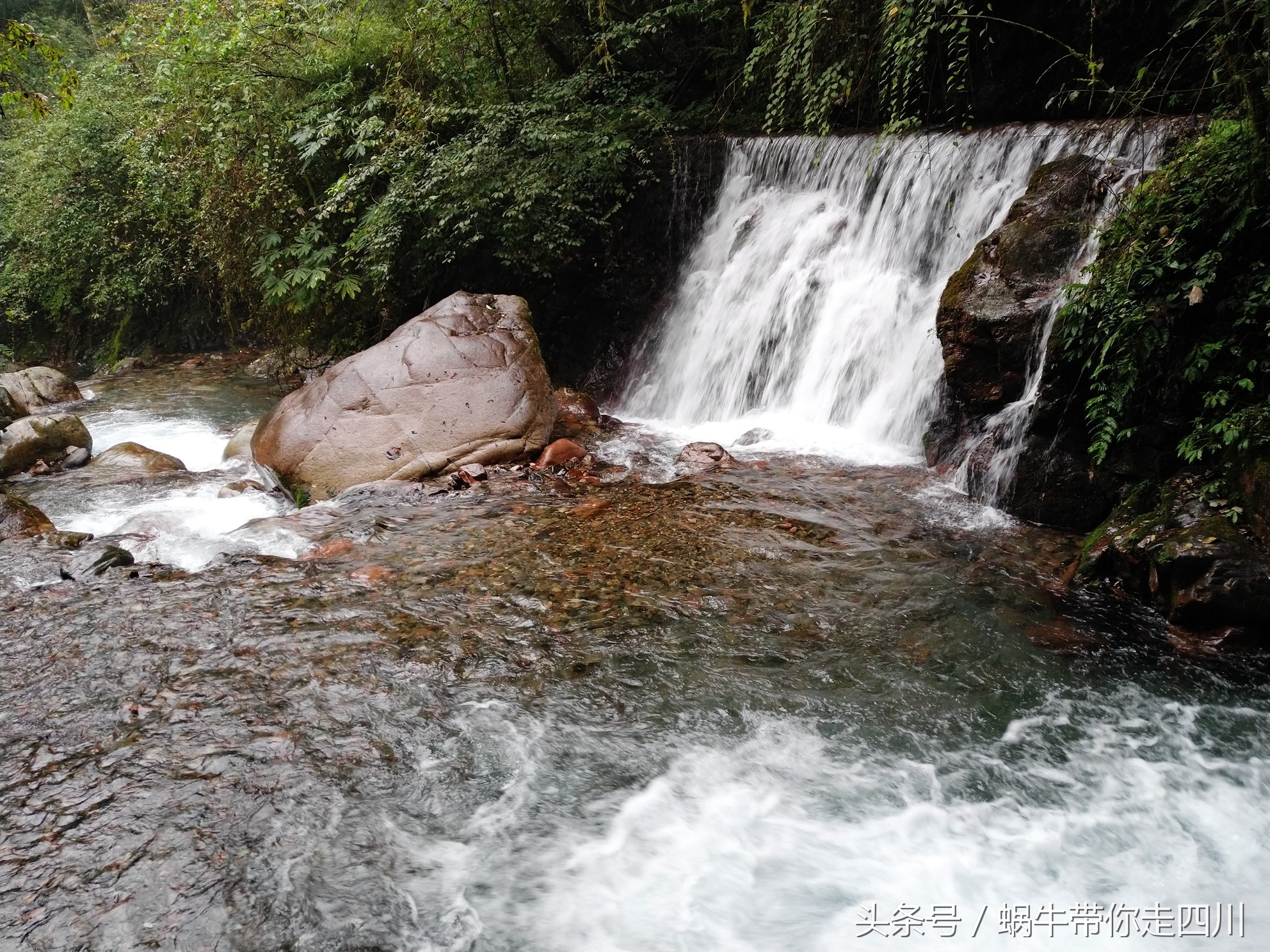 成都西岭雪山玩一天大概多少钱,成都西岭雪山旅游一日游报团