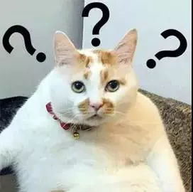 四种方言你能听懂几种,十种最难完整的方言东北话