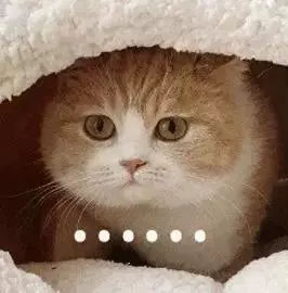 全国最魔性的方言东北话,最难懂的方言中国方言排行榜