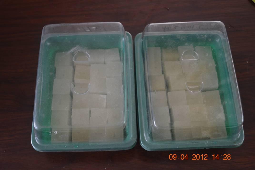 西红柿无土栽培的水肥浓度是多少,种植西红柿营养土怎么调配