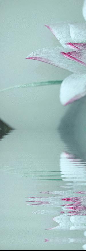 她用中国刺绣惊艳世界,她用一幅中国刺绣便惊艳了世界