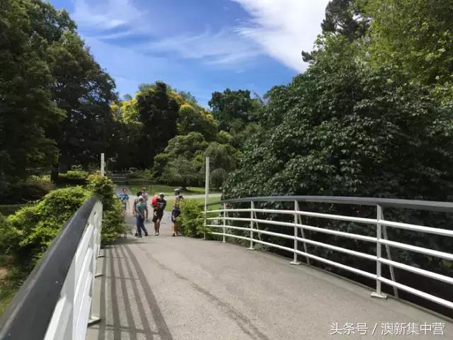 中专学历45岁留学新西兰,大龄留学新西兰好吗