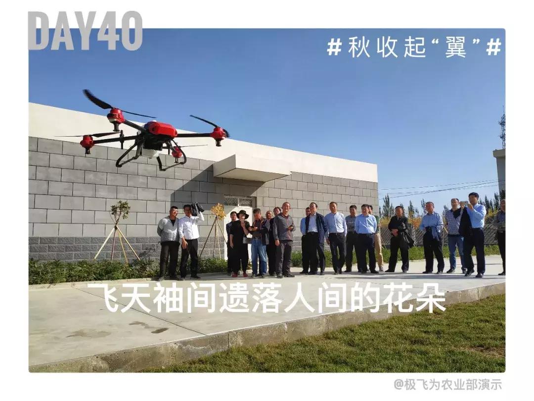 备好酒，听我们秋收起“翼”的故事！