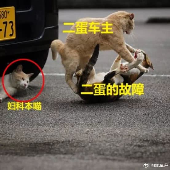 北汽212最新款2023沉浸式体验,北汽制造新款bj212实车曝光