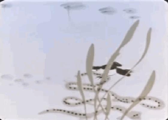 国内动画的巅峰之作水墨风,中国经典水墨动画片200部大合集