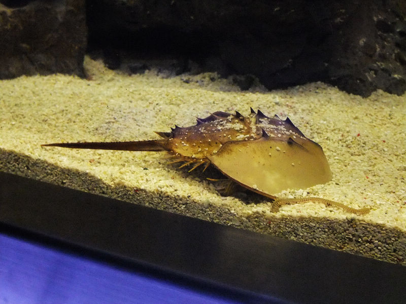 穷驴旅游,港囧游香港