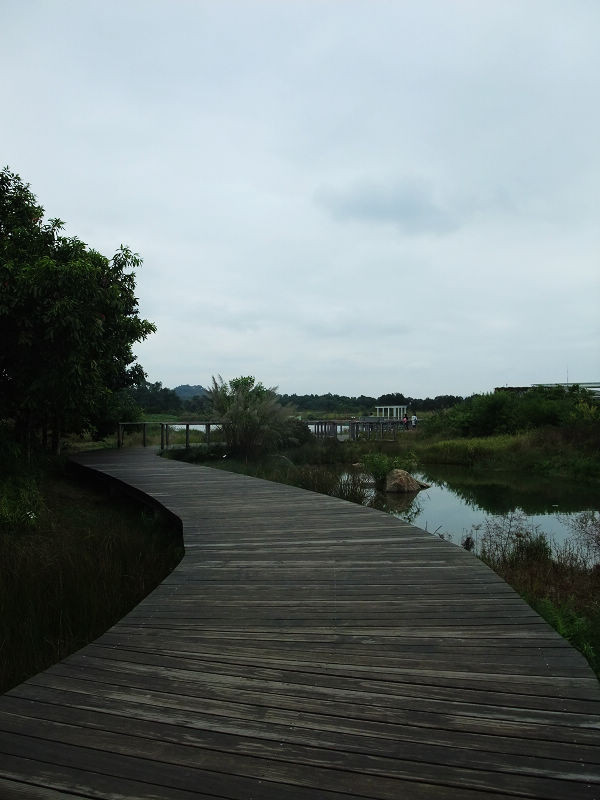 穷驴500块囧囧游香港（详细攻略带图）