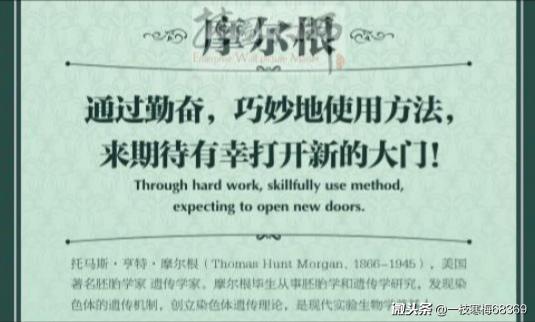 提高英语口语流利的例子,提升英语口语必背文章