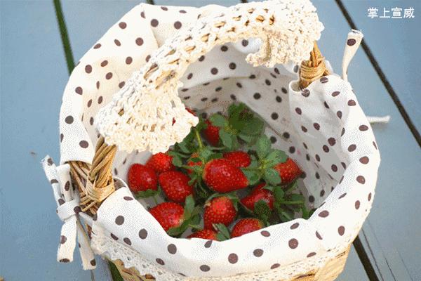 走进云南宣威,走进宣威市