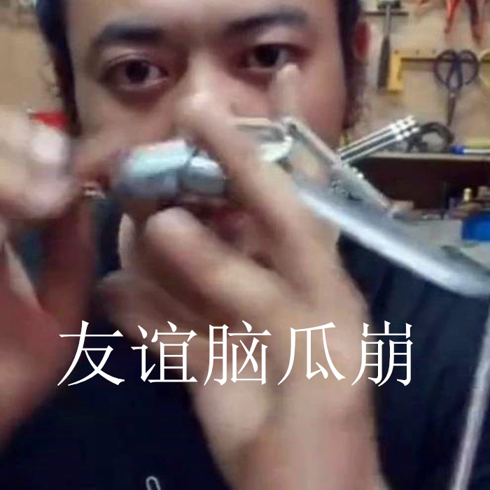 花栗鼠吃松鼠视频,花栗鼠吃虫子视频