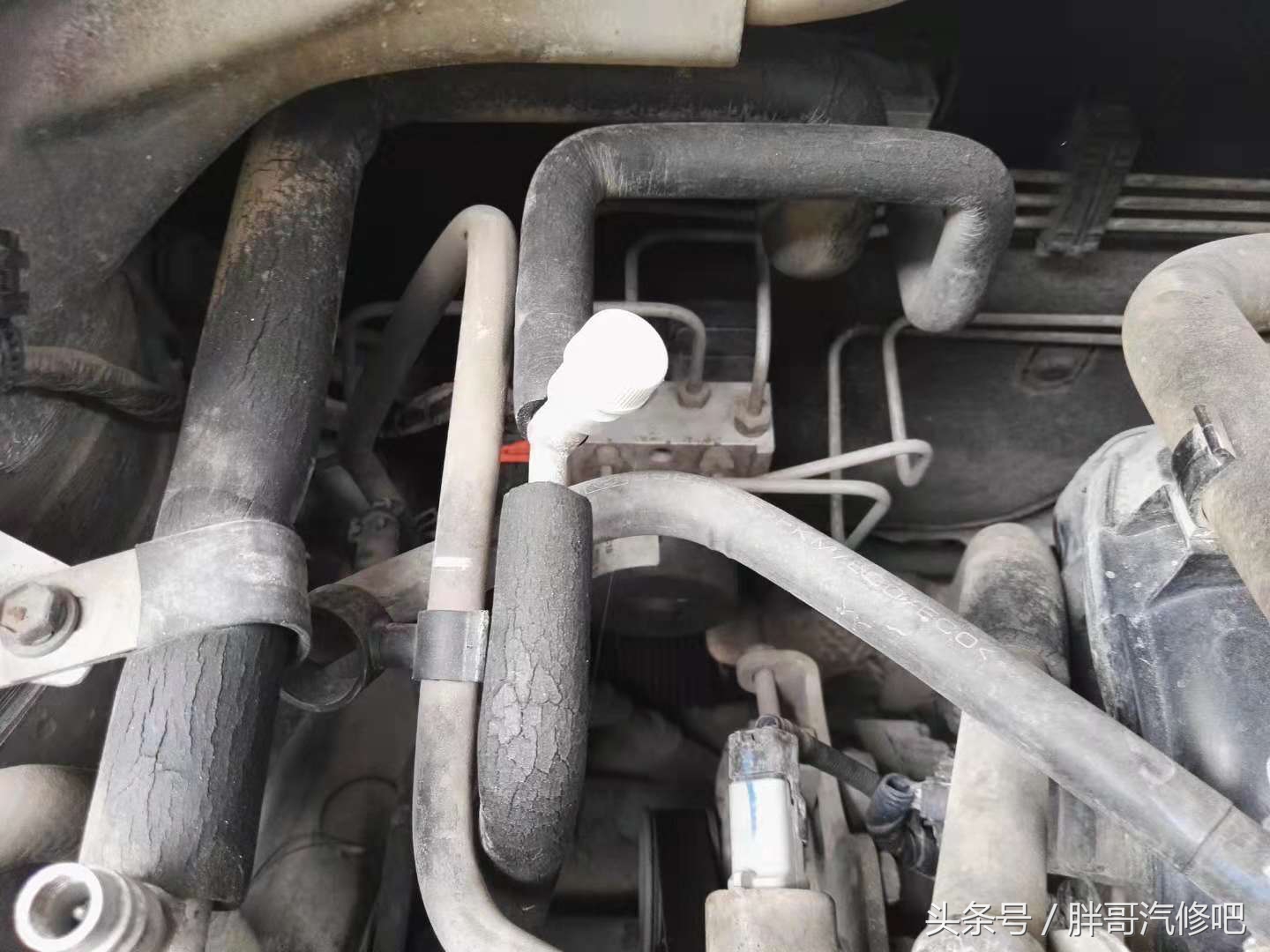 万元二手车，胖哥已整备完成，大家出来看看效果