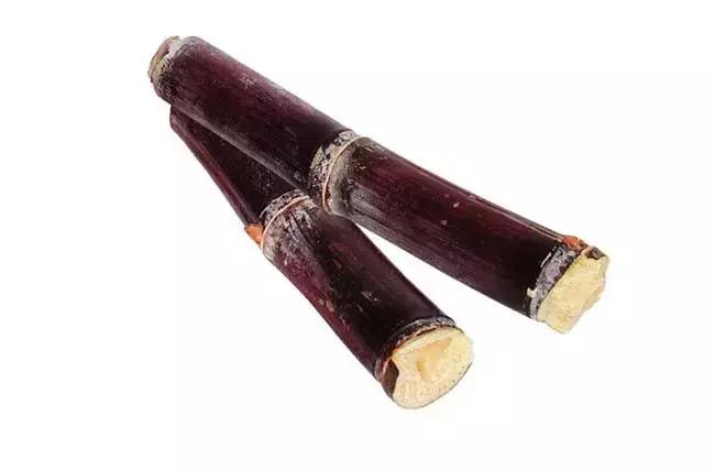 狗狗不能吃的食物完整版,狗狗手术后三种食物不能吃