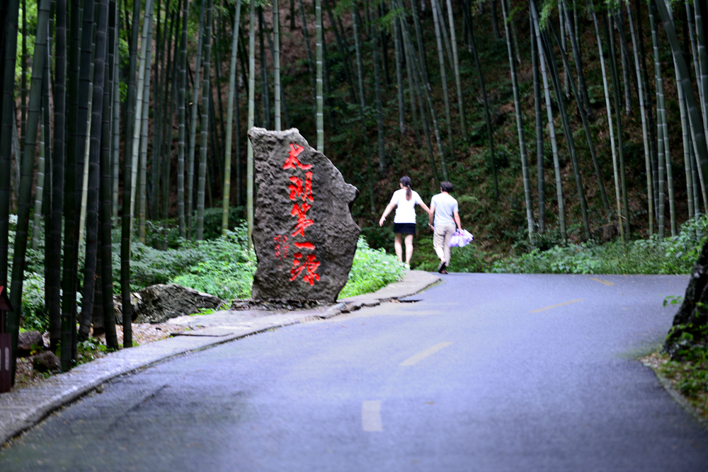 宜兴竹海的风景,推荐一个好的地方宜兴竹海