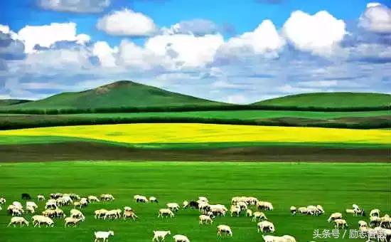 各地水果特产一览表,全国各地零食特产一览表