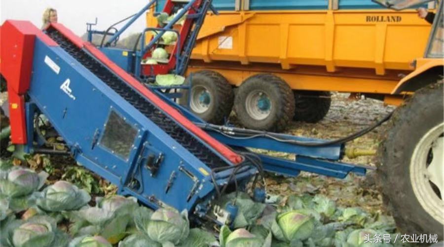 海外蔬菜收获机,蔬菜收获机