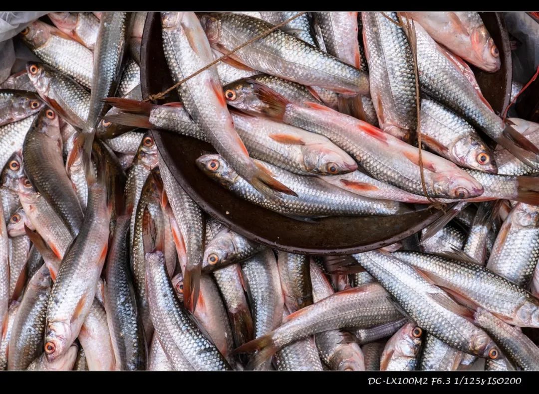 松下lx100m2有效像素,松下lx100ii深度评测