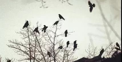 北太平庄在哪里,北太平庄地理位置