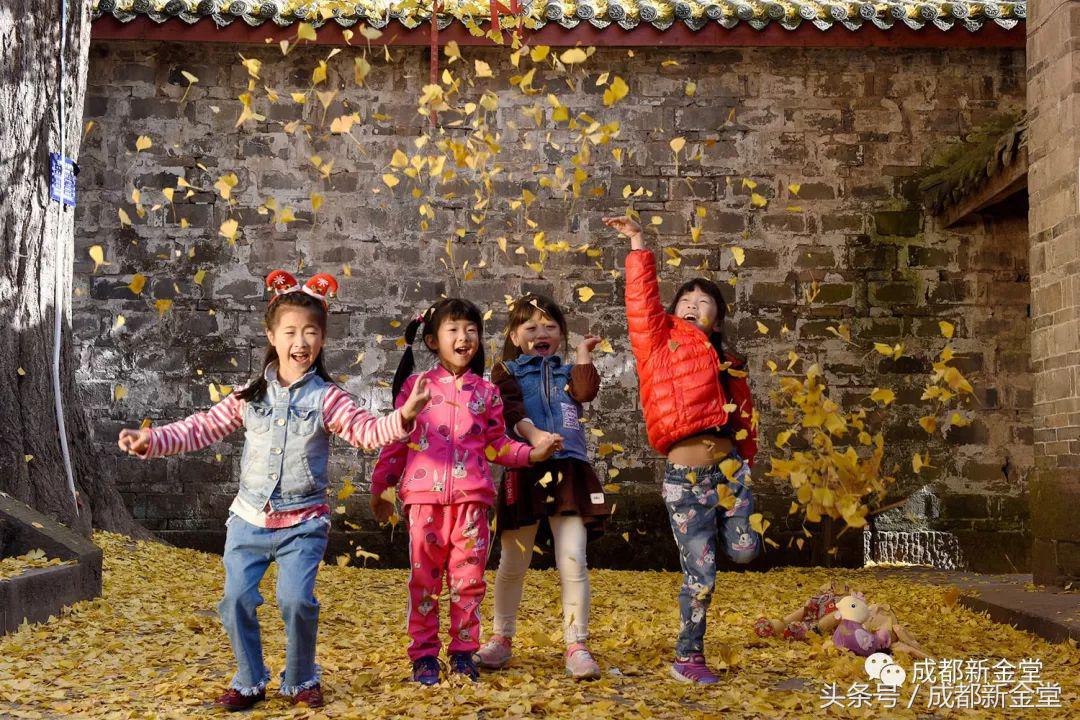 金堂秋色,秋天金堂十大必去景点