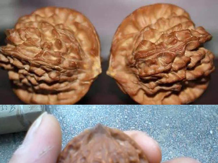 文玩核桃不平整修一下,文玩核桃蛤蟆头黄尖