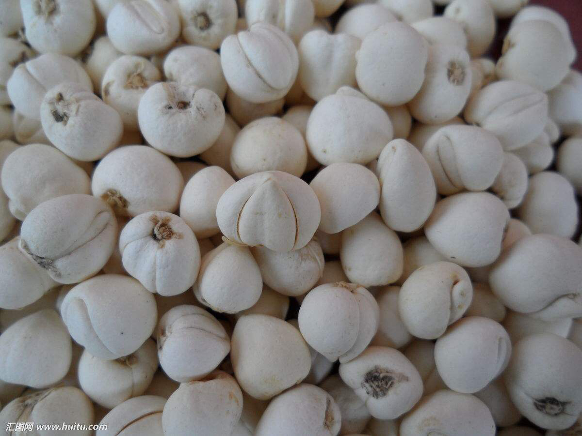 中药材川贝母价格,中药材川贝母