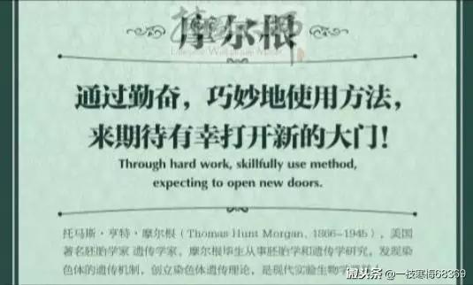 宾语从句的用法归纳总结初中英语,初中英语动词不定式作宾语口诀