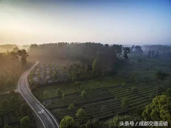 蒲江四好农村路建设,蒲江全国四好农村路示范县