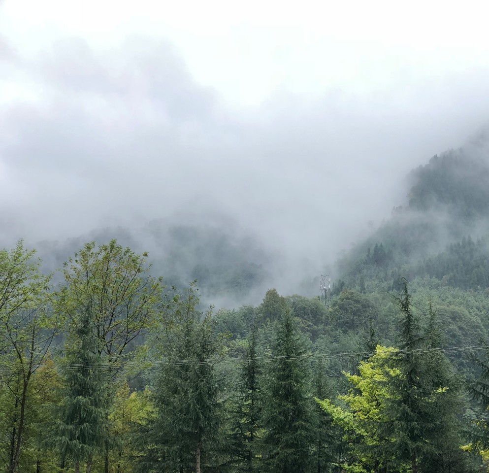 成都花水湾旅游攻略一日游,花水湾西岭雪山二日游