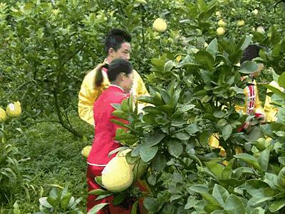 潮州市网红景区,潮州古城打卡地