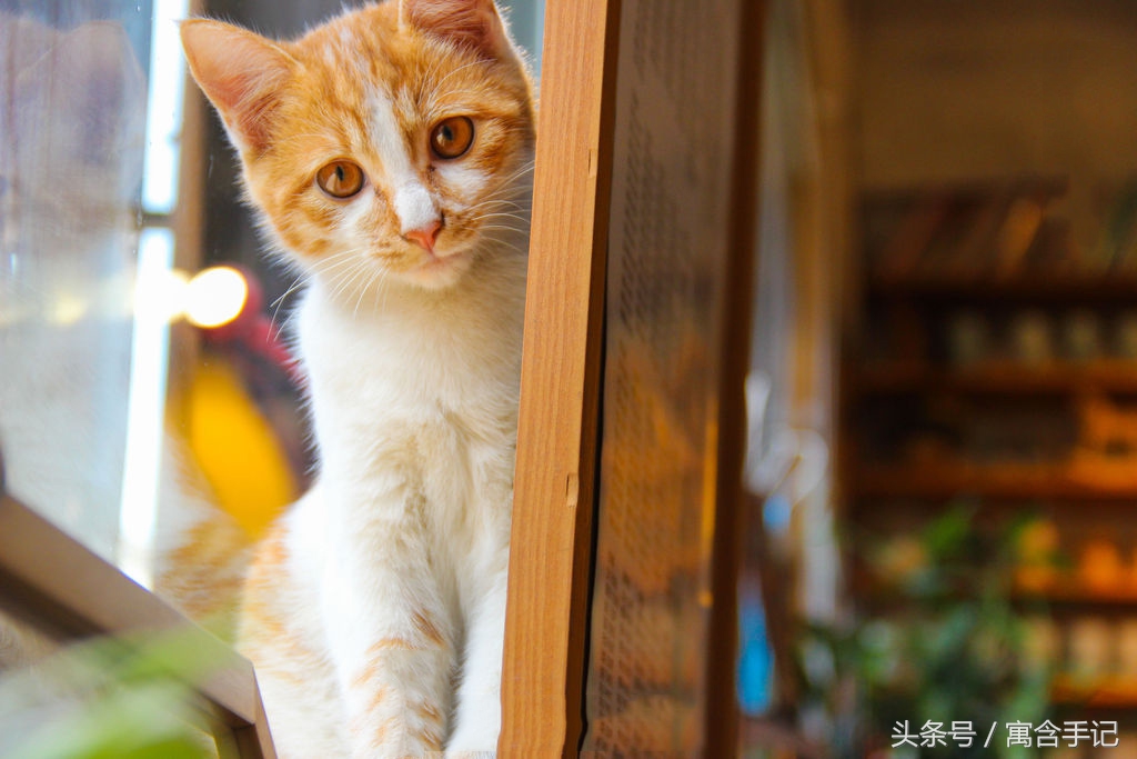 杭州最美书店打卡最天使文创书城,杭州最好最全的书店