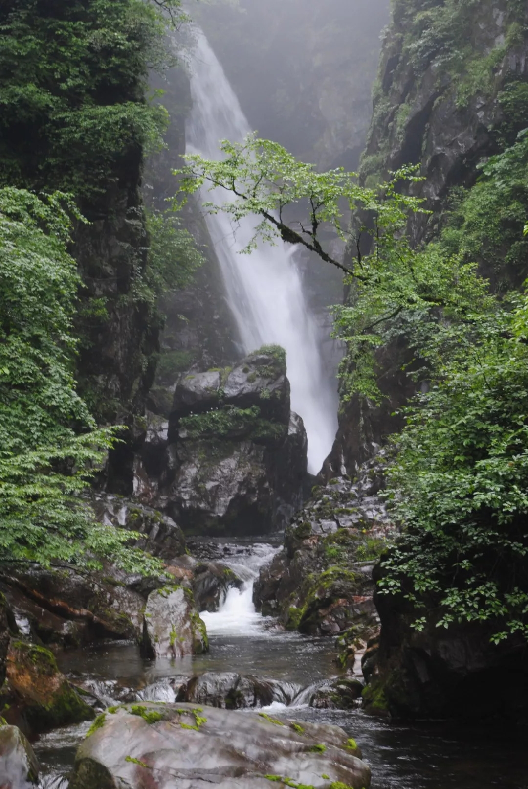 百慕大黑竹沟未解之谜,黑竹沟百慕大三角探险