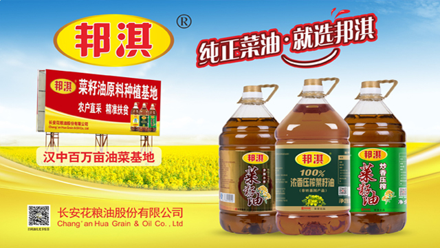 西北狼冲阵容,西北狼vs大连