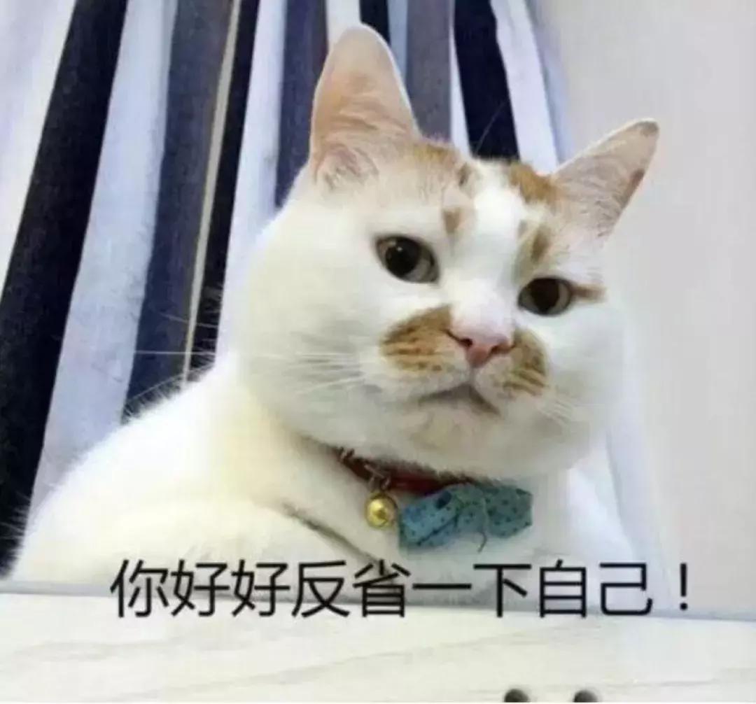 20岁女生结扎,22岁女生结扎