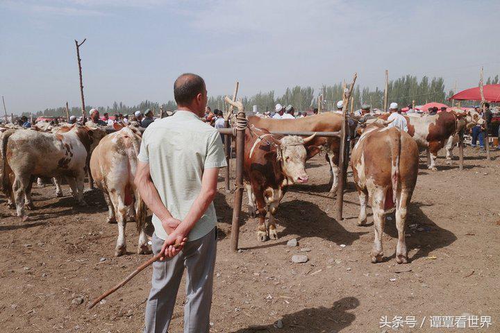 令人大开眼界的车,喀什牛羊大巴扎有意思吗