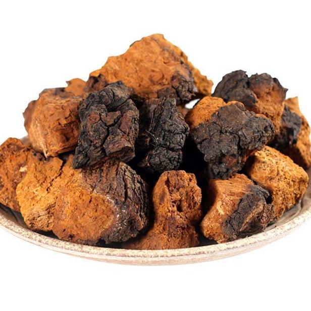 让我们一起了解白桦茸《免疫之星》《森林钻石》