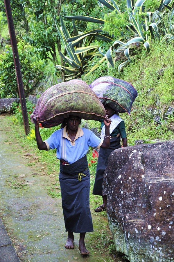 人文摄影斯里兰卡,锡兰风景