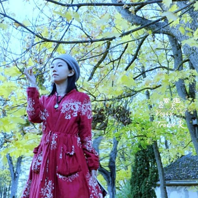 拉脱维亚旅游拍照攻略,塞尔维亚旅行拍照攻略