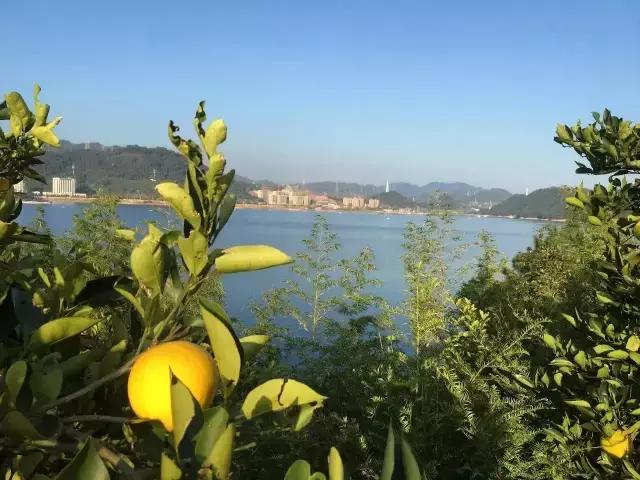 大叔为钓鱼买下一座岛,40岁大叔100块改造房间