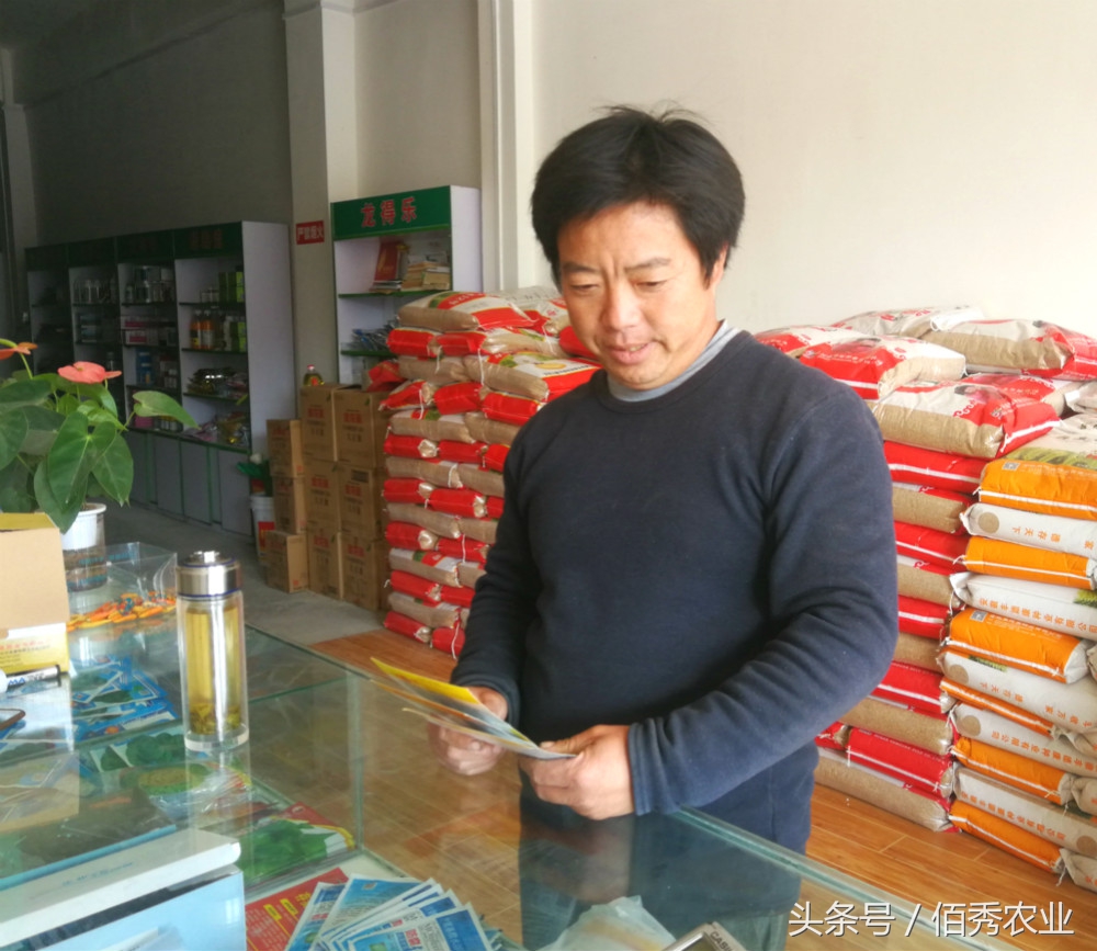 农民种菜挣钱的方法,大棚种植什么蔬菜最赚钱