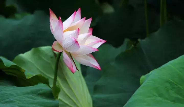 新都的房价还会涨吗,新都区的房价会大跌吗