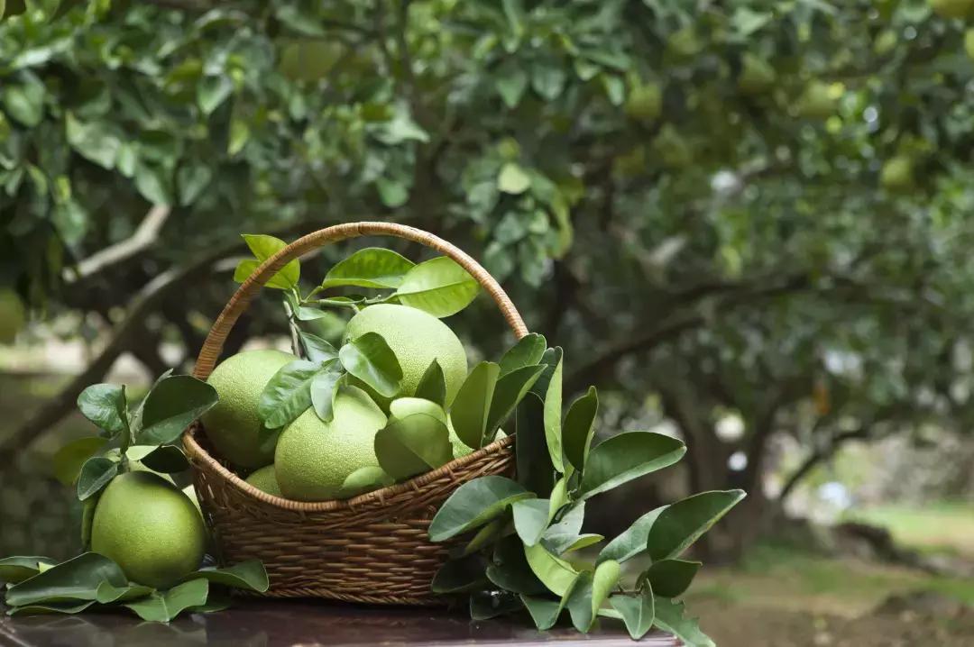 新都的房价还会涨吗,新都区的房价会大跌吗