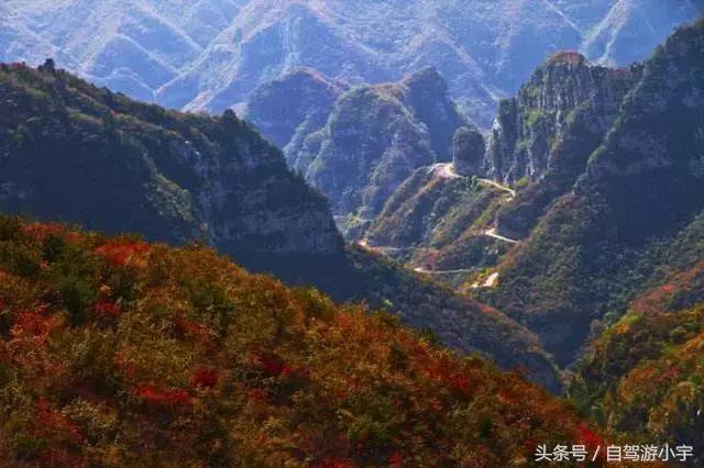河南省赏红叶一日游,河南省秋天红叶最佳去处
