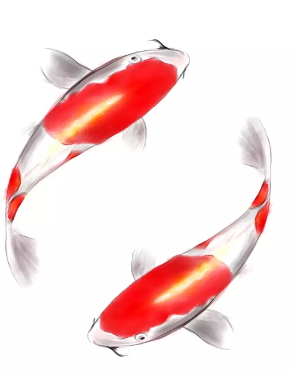 转发这条“锦鲤”，你将被*子骗**锁定……