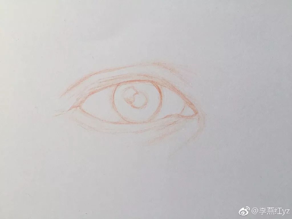 蔡徐坤的蓝玫瑰彩铅简笔画,彩铅画蔡徐坤蓝玫瑰