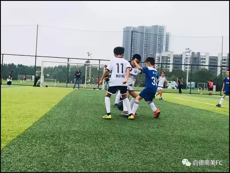 激战！周末赛事启德南美小雄狮以球会友！