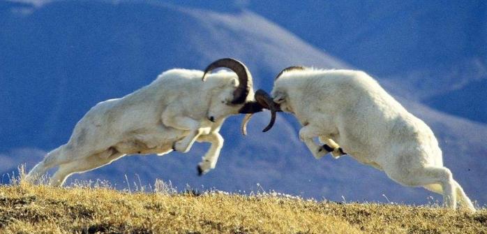 又一个大二女生失联了，聪明女人必须知道的”四条生存法则“！