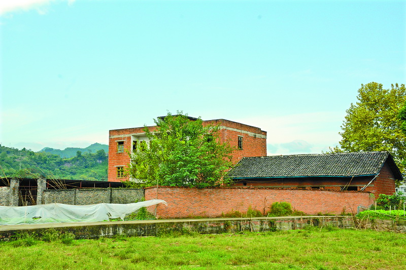 最大娃娃鱼大鲵,大鲵最高可达多少斤